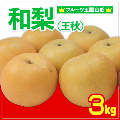 ☆フルーツ王国山形☆和梨 (王秋) 秀品 3kg 【令和7年産先行予約】FS24-777 1551350 - 山形県山形市