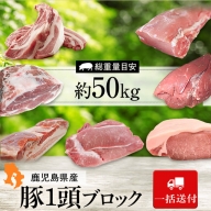 鹿児島県産豚1頭ブロックセット(6箱一括送付）