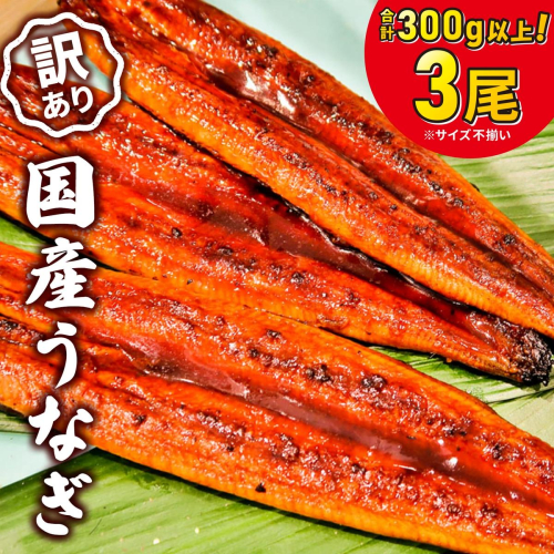 K1804 【訳あり】さかい河岸水産の国産うなぎ３尾 300g以上！ ※サイズ不揃い