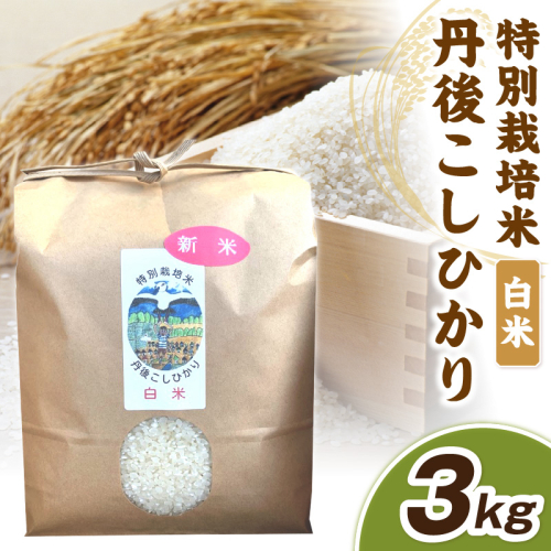 【先行予約】令和8年産 丹後こしひかり 白米3kg 【特別栽培米】新米 1551746 - 京都府京丹後市