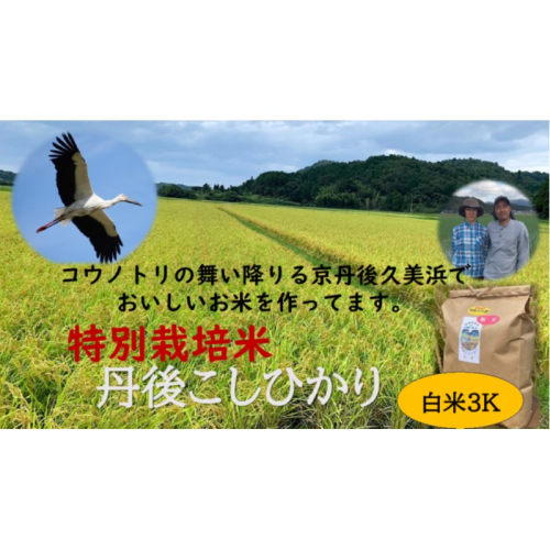 【先行予約】令和7年産　丹後こしひかり　白米3kg　【特別栽培米】新米
 1551746 - 京都府京丹後市