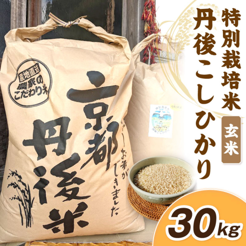 【先行予約】令和8年産 丹後こしひかり 玄米30kg 【特別栽培米】新米 1551747 - 京都府京丹後市