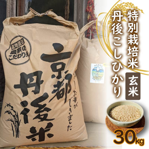 【先行予約】令和7年産　丹後こしひかり　玄米30kg　【特別栽培米】新米
 1551747 - 京都府京丹後市