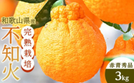 不知火（完熟栽培）樹上約300日 8玉～12玉 約3kg 赤青秀品【和歌山 海南市 農園直送】