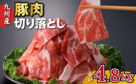 九州産豚肉切り落とし 4.8kg（300g×16P 国産 豚肉 切り落とし 人気 大容量 真空パック 簡易包装 冷凍）