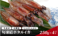 旬凍結ホタルイカ　小分け約250g×４パック　生食可　お刺身　しゃぶしゃぶに