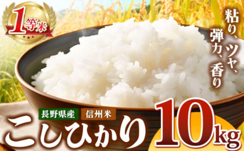 令和7年産 新米 信州米 こしひかり 白米 10kg 長野県産 | 米 コシヒカリ 白米 精米 お米 信州米 10kg 特産品 塩尻市 長野県 信州