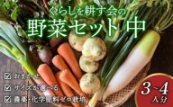 丸山農園の野菜セット 中セット 3~4人用 おまかせ 6～8品目 無農薬 くらしを耕す会 野菜 やさい サラダ 健康 人参 玉ねぎ 大根 野菜 やさい サラダ 健康 人参 玉ねぎ 大根 野菜 やさい サラダ 健康 人参 玉ねぎ 大根 野菜 やさい サラダ 健康 人参 玉ねぎ 大根 野菜 やさい サラダ 健康 人参 玉ねぎ 大根 ふるさと納税野菜 ふるさと納税サラダ 愛知県 南知多町