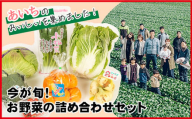 No.214 今が旬！お野菜の詰め合わせセット ／ 新鮮 季節の野菜 おまかせ たっぷり 愛知県 特産品