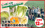 No.217 【12ヶ月定期便】今が旬！お野菜の詰め合わせセット ／ 新鮮 季節の野菜 おまかせ たっぷり 愛知県 特産品