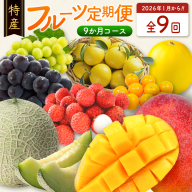 ＜数量限定＞新富町 特産フルーツ 詰め合わせ 定期便 9か月コース くだもの マンゴー ライチ メロン シャインマスカット ぶどう 柑橘 国産【F151-26】