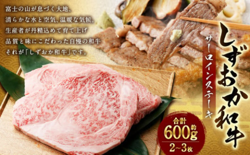 しずおか和牛 サーロインステーキ 約600g（2～3枚） ｜ しずおか和牛 サーロイン ステーキ 高級 和牛ブランド 和牛 肉 牛肉 国産 お取り寄せ ギフト 静岡県 菊川市 1552490 - 静岡県菊川市