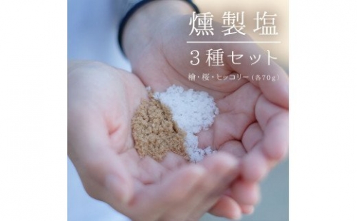 ZS-641 燻製塩３種（桜・檜・ヒッコリー） 155251 - 鹿児島県薩摩川内市