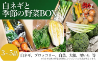 白ネギと季節の野菜BOX　野菜セット 広島県三原市産 池ちゃん農園 産地直送 新鮮 旬 野菜 鍋 すき焼き 年越しそば 味噌汁 お取り寄せ 特産品 先行受付 国産 甘い 080003