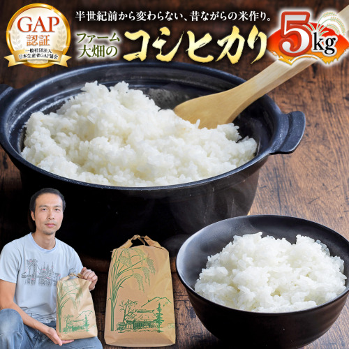 【 ファーム大畑 】コシヒカリ 5kg 米 お米 おこめ コメ GAP規範 [AK003ci] 1552744 - 茨城県筑西市