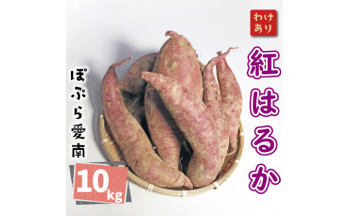 訳あり 紅はるか 10kg サイズミックス サツマイモ さつまいも やきいも 焼き芋 甘い ねっとり 土付き 芋 いも 甘藷 べにはるか スイーツ 産地直送 ぽぷら愛南 愛南町 愛媛県 1552856 - 愛媛県愛南町