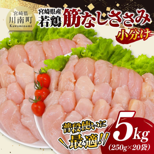 宮崎県産若鶏　筋なしささみ5kg（250g×20） 【 鶏肉 とり肉 ささみ 真空パック 】 1552858 - 宮崎県川南町