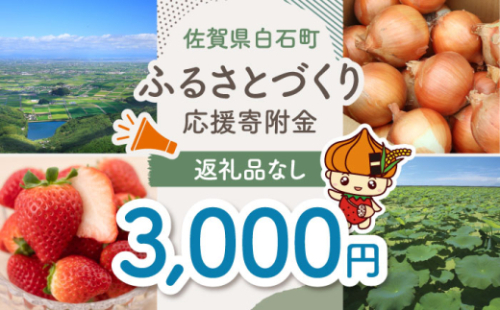 【返礼品なし】佐賀県白石町 ふるさとづくり応援寄附金（3,000円分）  白石 [IZY004] 1552948 - 佐賀県白石町