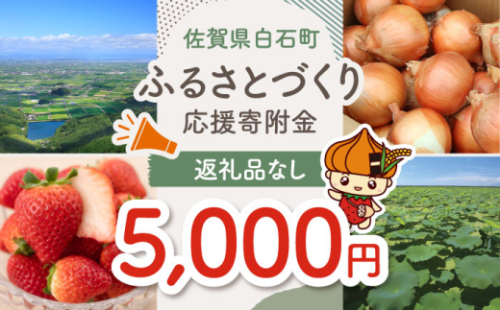 【返礼品なし】佐賀県白石町 ふるさとづくり応援寄附金（5,000円分）  白石 [IZY005] 1552949 - 佐賀県白石町