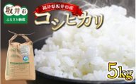 【令和6年産・新米】 福井県坂井市産 コシヒカリ 5kg 【米 こめ こしひかり ブランド米 5キロ ふるさと納税米 産地直送】 [A-12627]