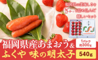 福岡県産あまおうギフト箱 & ふくや味の明太子 540g 南国フルーツ株式会社《1月上旬-3月末頃出荷》福岡県 鞍手町 あまおう いちご めんたいこ 明太子 セット 送料無料