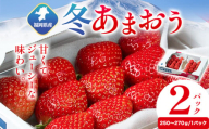 福岡県産 冬あまおう 2パック 南国フルーツ株式会社《12月上旬-1月末頃出荷》福岡県 鞍手町 あまおう いちご イチゴ 送料無料【配送不可地域あり】