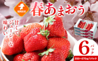 福岡県産 春あまおう 6パック 南国フルーツ株式会社《2月上旬-3月末頃出荷》福岡県 鞍手町 あまおう いちご イチゴ 送料無料【配送不可地域あり】