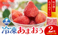 福岡県産 冷凍あまおう1kg(500g×2袋) 南国フルーツ株式会社《12月中旬-3月末頃出荷》福岡県 鞍手町 あまおう いちご イチゴ 送料無料【配送不可地域あり】