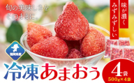 福岡県産 冷凍あまおう2kg(500g×4袋) 南国フルーツ株式会社《12月中旬-3月末頃出荷》福岡県 鞍手町 あまおう いちご イチゴ 送料無料【配送不可地域あり】