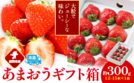 福岡県産 あまおう ギフト箱 約300g 南国フルーツ株式会社《12月上旬-3月末頃出荷》福岡県 鞍手町 あまおう いちご イチゴ 送料無料【配送不可地域あり】