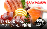 国産とっとり琴浦グランサーモン刺身用　400ｇ訳あり