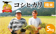 【令和6年産 新米】勝山産 コシヒカリ 精米 5kg [A-079001]