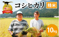 【令和6年産 新米】勝山産 コシヒカリ 精米 10kg（5kg×2袋） [B-079001]