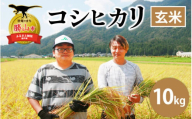 【令和6年産 新米】勝山産 コシヒカリ 玄米 10kg（5kg×2袋） [B-079002]