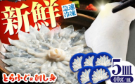 【新鮮！贅沢おつまみ】トラフグの刺し身（小皿/40g）×5枚 / とらふぐ 刺身 紅葉おろし トラフグ ふぐ フグ 河豚 刺し身 / 南島原市 / 株式会社 FUKUNOTANE [SFJ002]