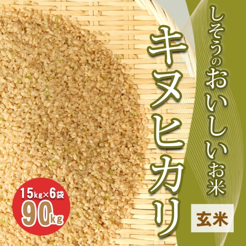 I4　しそうのおいしいお米　キヌヒカリ玄米15kg×6袋 155337 - 兵庫県宍粟市