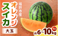 【先行予約】オレンジスイカ 1玉（大玉：6～10kg前後）＜7月中旬～8月お届け！＞【2025年7月中旬以降順次発送予定】 【 サマーオレンジ ビッグサイズ スイカ 西瓜 フルーツ 果物 入手困難 希少 国産 産地直送 】 [A-10206]