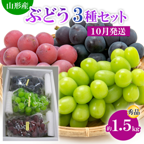 山形市産 ぶどう3種セット 秀 約1.5kg[10月発送] 【令和7年産先行予約】FS24-812 1553501 - 山形県山形市