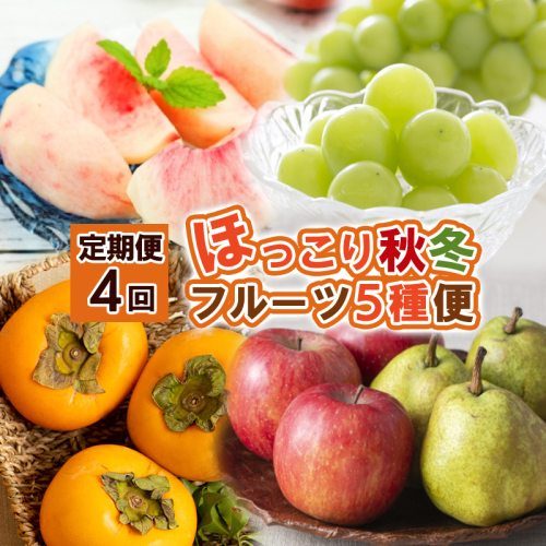 【定期便4回】ほっこり秋冬フルーツ５種便【令和8年産先行予約】FS24-810 1553657 - 山形県山形市