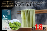 N3 笹うどん18食セット(半生タイプ)