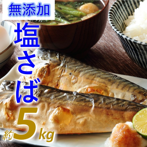 B334.バラ凍結で便利!塩さば(約5kg) 1554043 - 福岡県新宮町