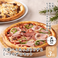 J2　宍粟ハムたっぷりピザとミートピザのセット