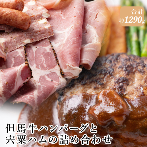 J22　但馬牛ハンバーグと宍粟ハムの詰め合わせ 155413 - 兵庫県宍粟市