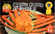 越前ずわいがに 約800g × 1杯 タグ（シングル）付 [H-044001]