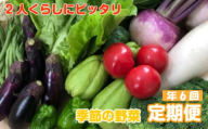 定期便 6回 9～10種類程度 2人暮らしにぴったり 南国土佐のお野菜食べきりサイズ セット 数量限定 限定 セット 詰め合わせ 季節 新鮮 産地直送 高知県 須崎市 頒布会 ほうれん草 ブロッコリー ニンジン 人参 じゃがいも 白菜 キャベツ 小松菜 ピーマン ししとう タマネギ オクラ なす ネギ さつまいも 里芋 にんにく きゅうり しょうが 生姜 NK10000