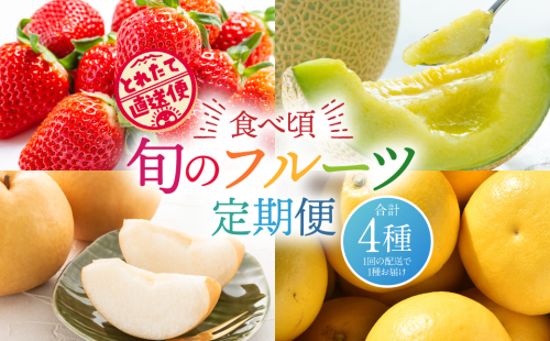 【定期便 年4回】食べ頃！旬のフルーツ定期便(いちご・メロン・梨・チャンドラポメロ) 1554662 - 熊本県八代市