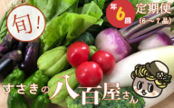 定期便 6回 旬 野菜 詰め合わせ セット 6 ～ 7品 数量限定 限定 セット やさい 送料無料 頒布会 ほうれん草 ブロッコリー ニンジン 人参 じゃがいも 白菜 キャベツ 小松菜 ピーマン ししとう タマネギ オクラ なす ネギ さつまいも 里芋 にんにく きゅうり しょうが 生姜 NK11000