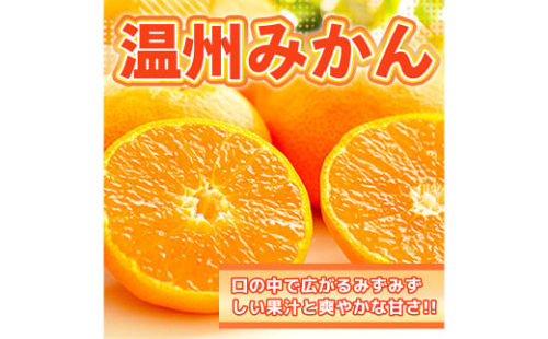 温州みかん 約2.5kg 2S～2L みかん 果物 くだもの 旬 益城町産【2024年12月上旬まで発送予定】 1554750 - 熊本県益城町