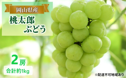 ぶどう 【2025年 早期受付】 桃太郎ぶどう 2房 合計約1kg ブドウ 葡萄 岡山県産 国産 フルーツ 果物 ギフト 1554889 - 岡山県玉野市