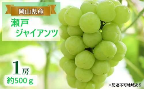 ぶどう 【2025年 早期受付】 瀬戸ジャイアンツ 1房 約500g ブドウ 葡萄 岡山県産 国産 フルーツ 果物 ギフト 1554891 - 岡山県玉野市